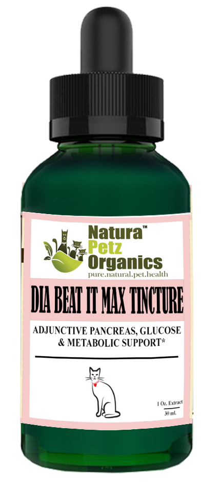 Max Tincture Extract* - Adjunctive Pancreas, Blood Glucose & Metabolic Support*