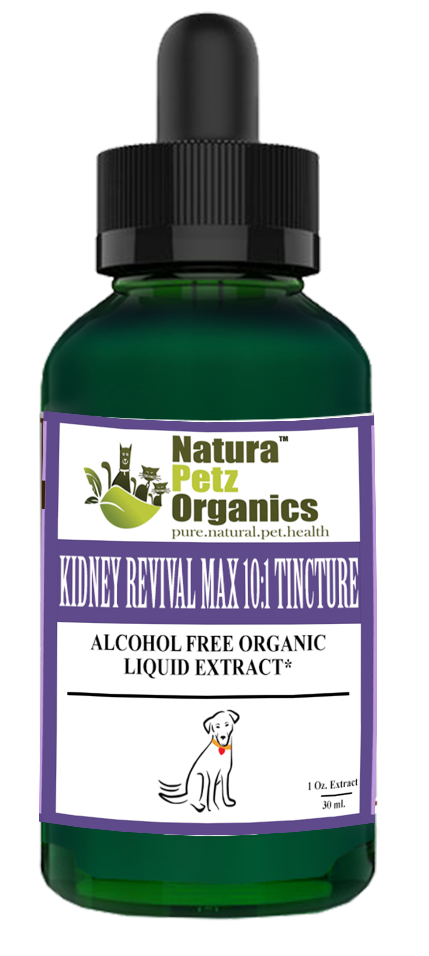 Kidney Revival Max - Master Blend Kidney Cleanse & Support* Tincture Adult & Senior Dogs