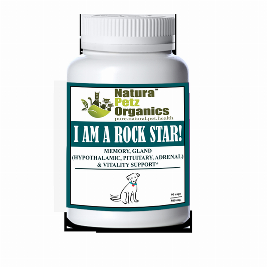 I Am A Rock Star - Memory, Gland (Hypothalamic, Pituitary And Adrenal) & Vitality Support*