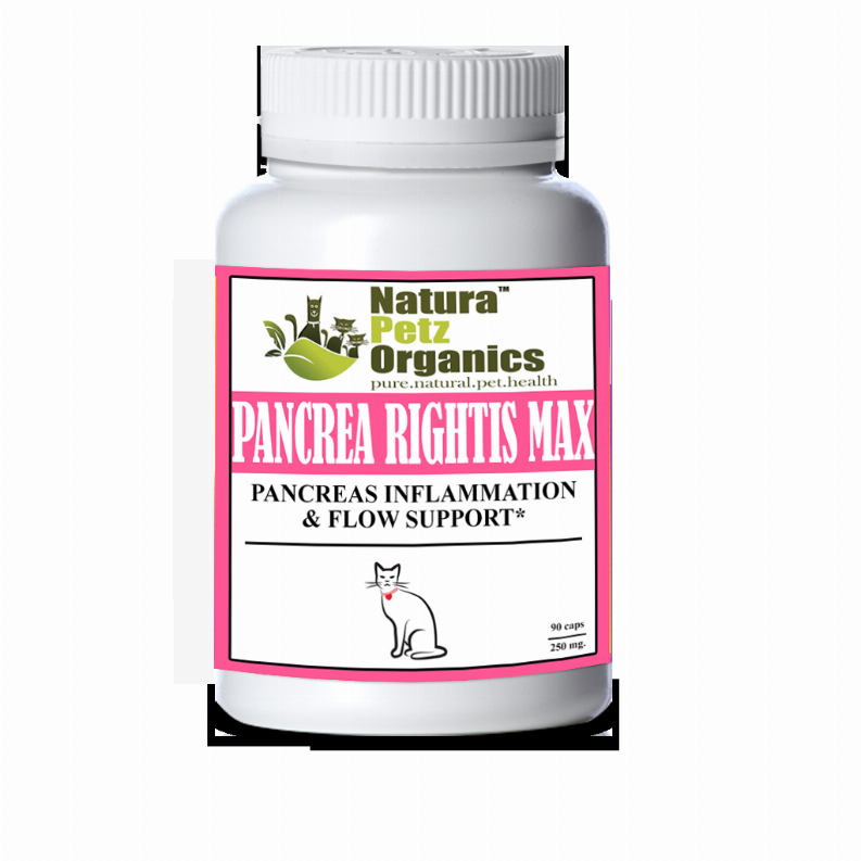 Pancrea Rightis Max Support* Capsules Pancreas Inflammation & Flow Support Dogs Cats*