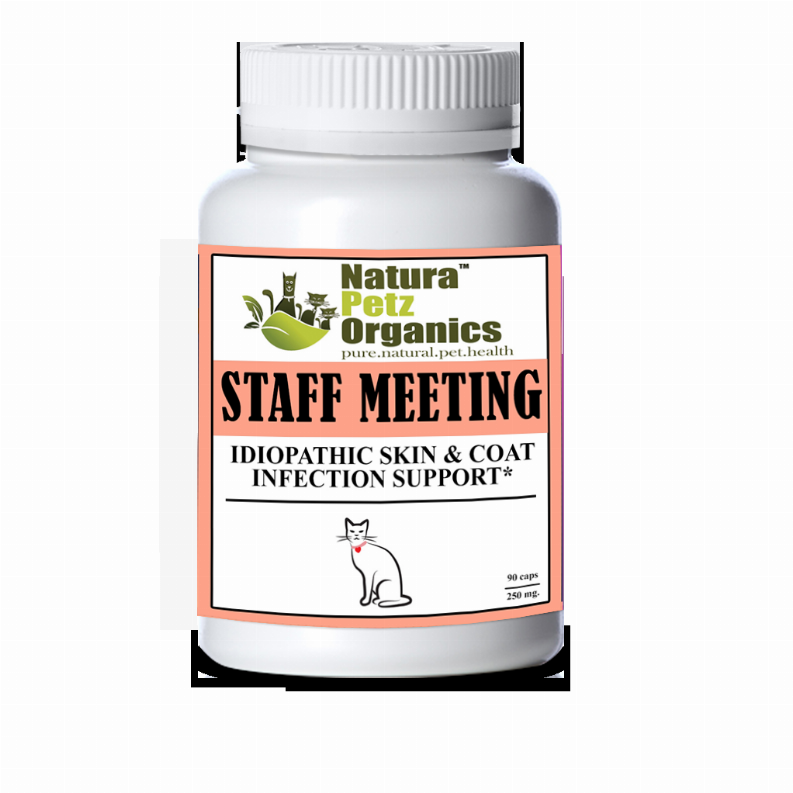 Staff Meeting* Idiopathic Skin & Coat Infection* Support For Dogs And Cats*