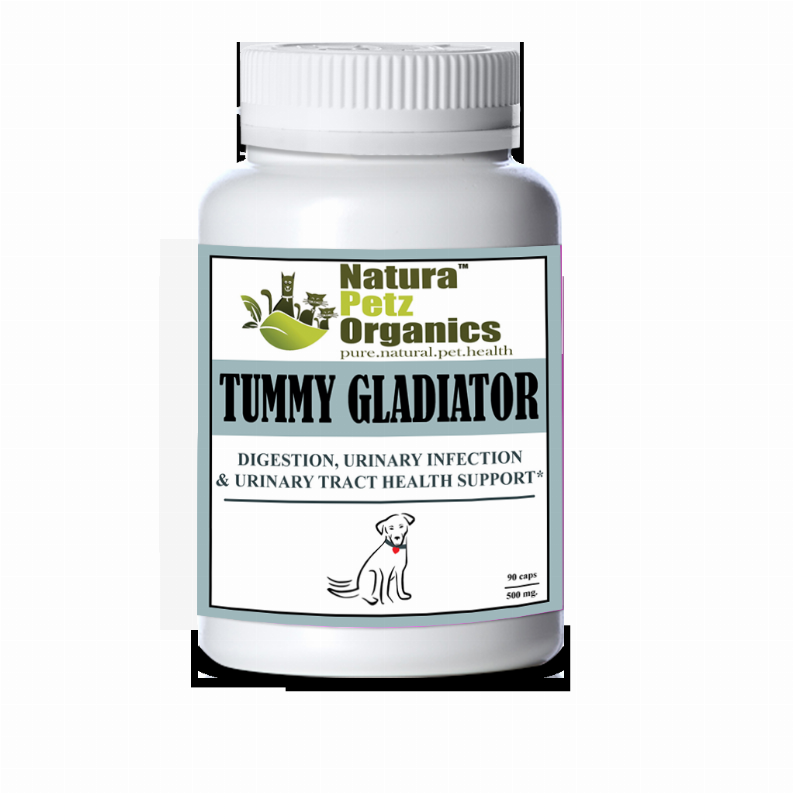Tummy Gladiator - Digestion, Adjunctive Reflux & Urinary Tract Support*