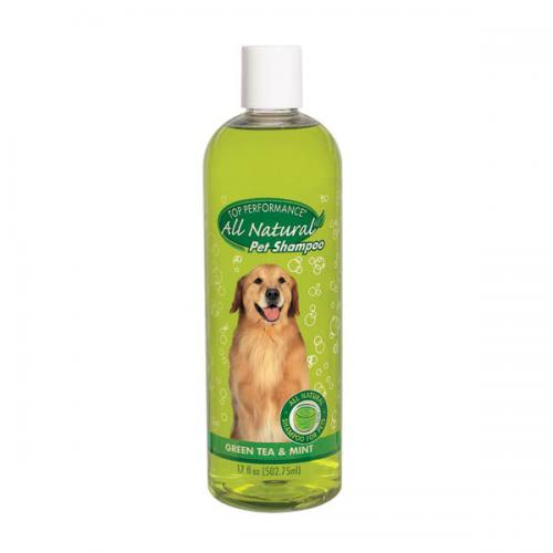 Top Performance Green Tea & Mint Shampoo 17oz